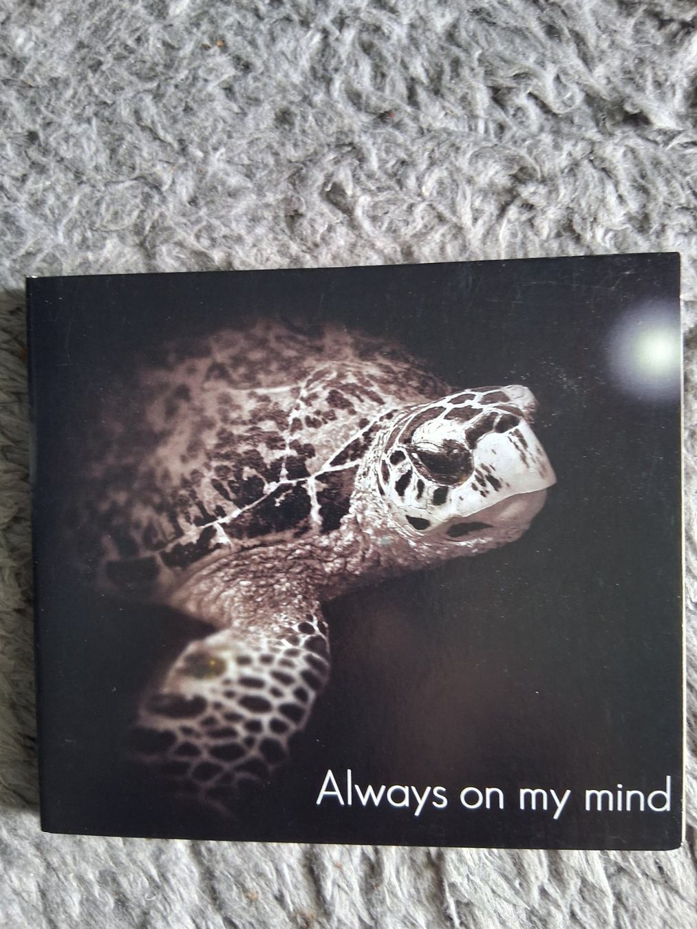 CD: GINO TODESCO  PETER LANGLOH    ALWAYS ON MY MIND    CD – Usato da Wetzikon ZH venduto da Ramones01