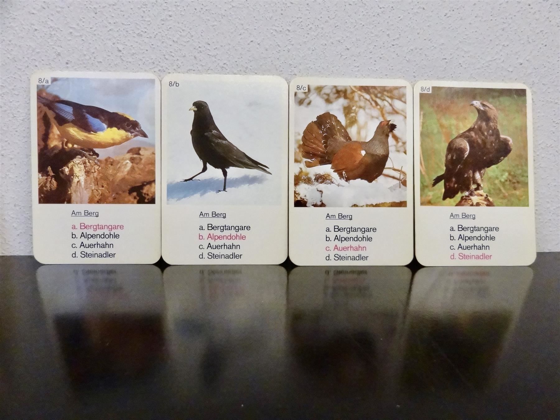Spiele: altes Quartett TIER-QUARTETT VÖGEL – Gebraucht aus Kerzers von wisaundso 9