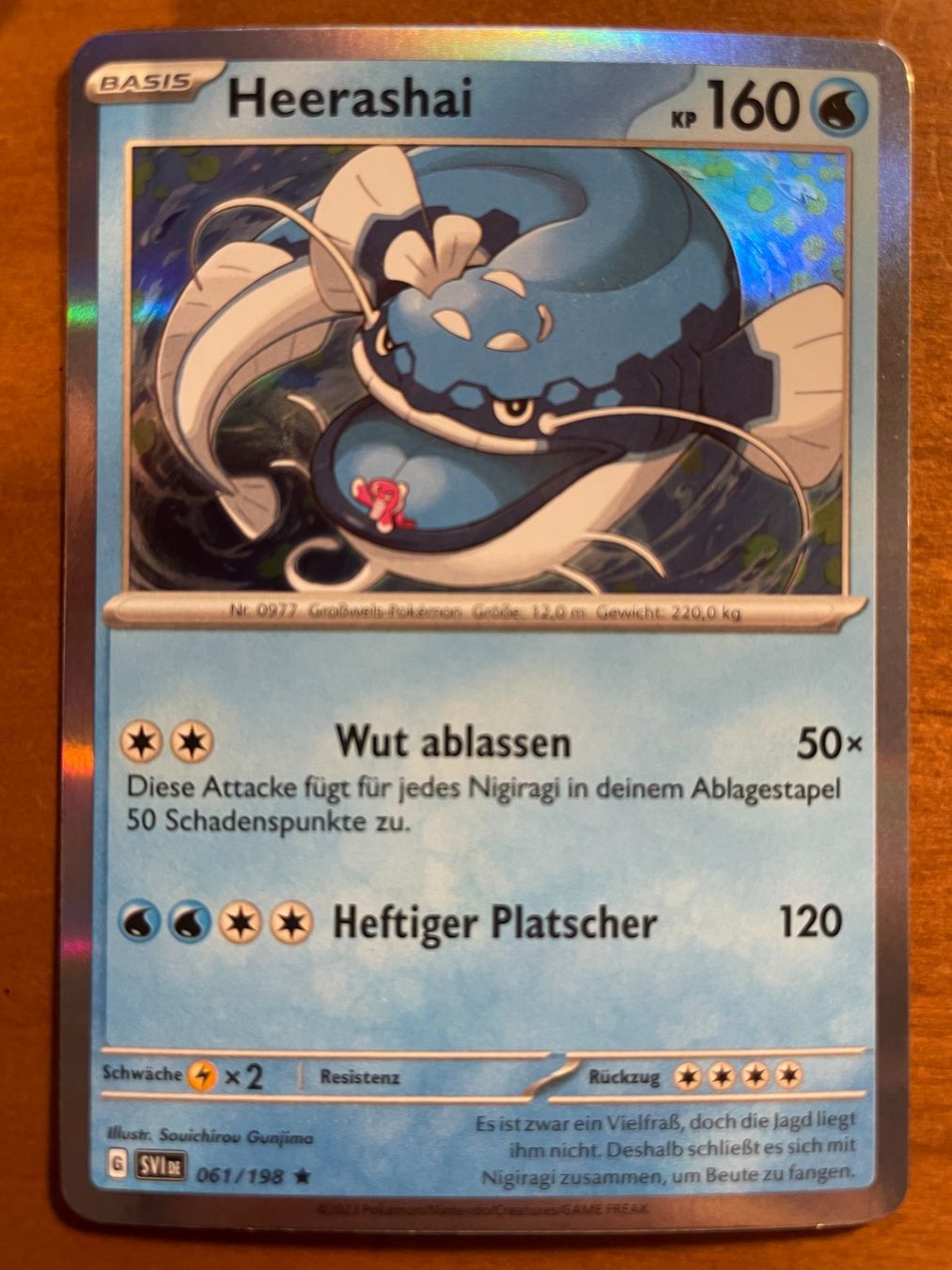 Pokémon Carte collezionabili: Pokemon Heerashai Holo (Versand gratis) – Nuovo (secondo la descrizione) da Chur venduto da Angerson