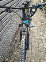 Focus E-Bike schwarz/blau mit Shimano Display / Grösse XL