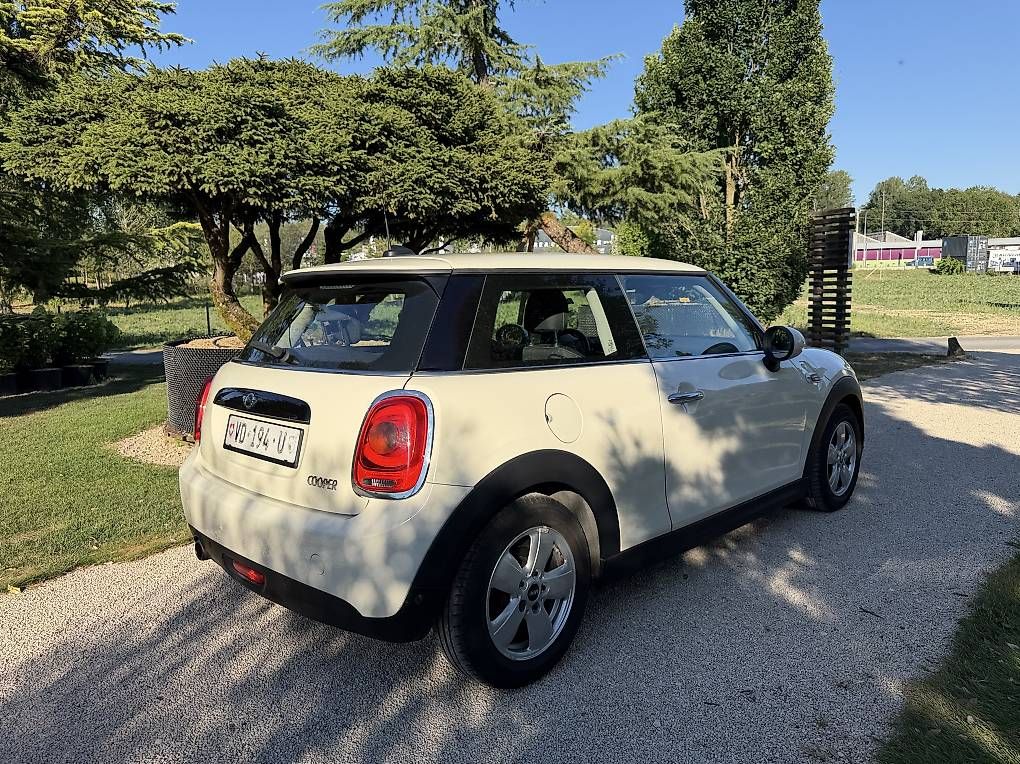 Automobili: Mini Cooper  – Usato da Crissier venduto da AnastacioR 1