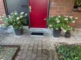 2 Eternit Pflanzengefässe mit Rispenhortensien