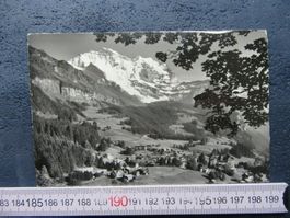 WENGEN BEO AK