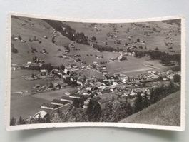 Lenk i. S.