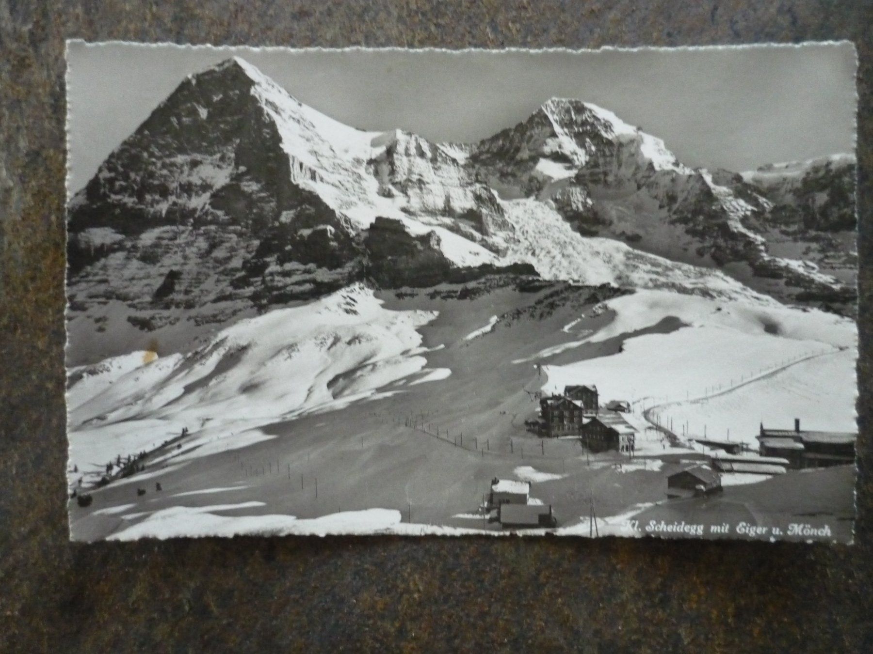Cartoline postali: Postkarte Kl. Scheidegg Eiger u. Mönch guter Zustand – Usato da Langnau i. E. venduto da Laendu7000