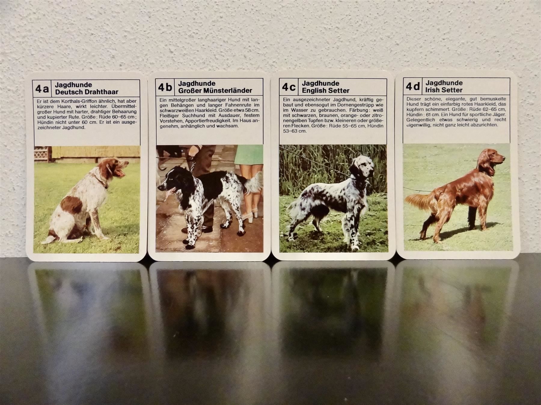 Spiele: altes Quartett TIER-QUARTETT HUNDE HUND – Gebraucht aus Kerzers von wisaundso 6