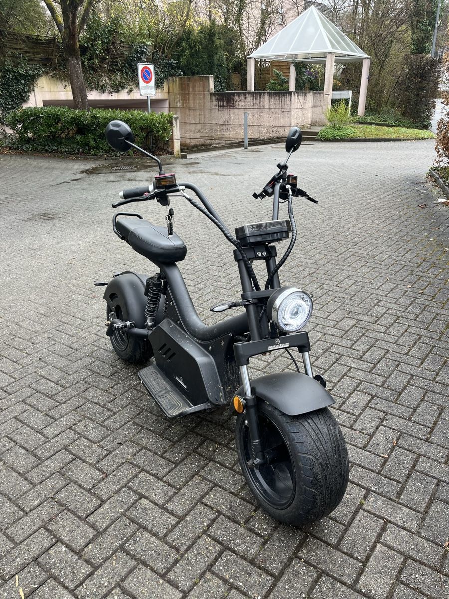 Züriflizzer Scooter: E-Roller – Usato da Adliswil venduto da tei_99kz