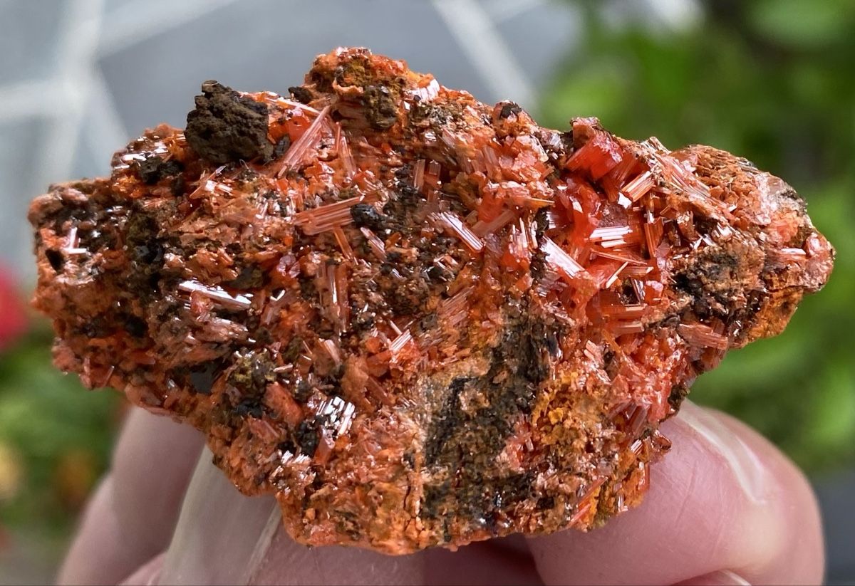 Mineralien & Heilsteine: Top Stück Krokoit  – Gebraucht aus Selzach von 321compac 4