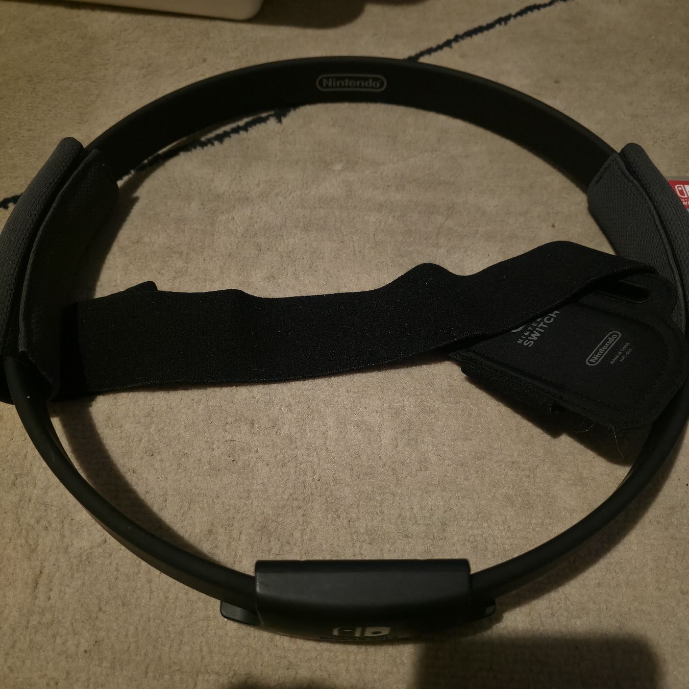 Nintendo Consoles: Nintendo Ring Fit Adventure + gioco – Neuf (Voir description) à Rancate par sarah357