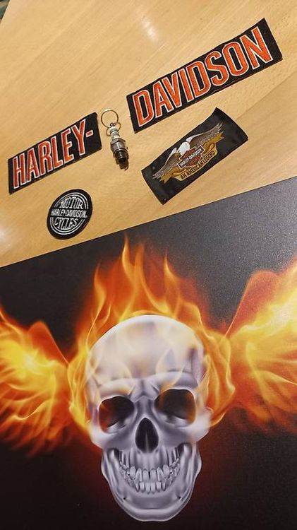 Harley-Davidson Toppe: Harley Davidson Aufnäher Patch Bild Totenkopf Skull – Usato da Schupfart venduto da Bluelightning 1