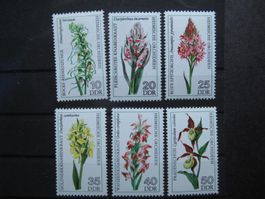 DDR 1976 Heimische Orchideen **