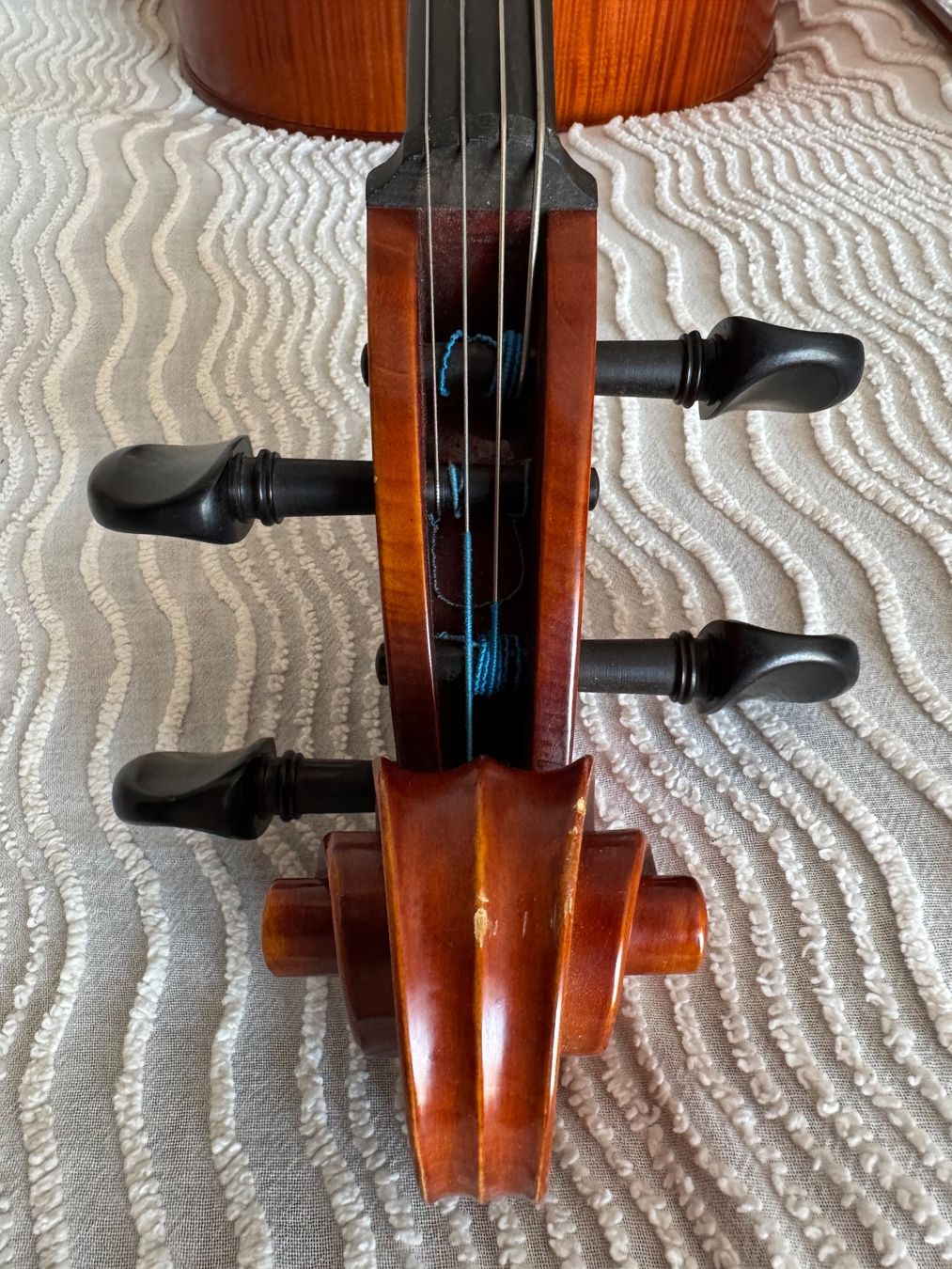 Strumenti musicali: Cello von Benedikt Lang (Mittenwald) – Usato da Illnau venduto da Halixx 3