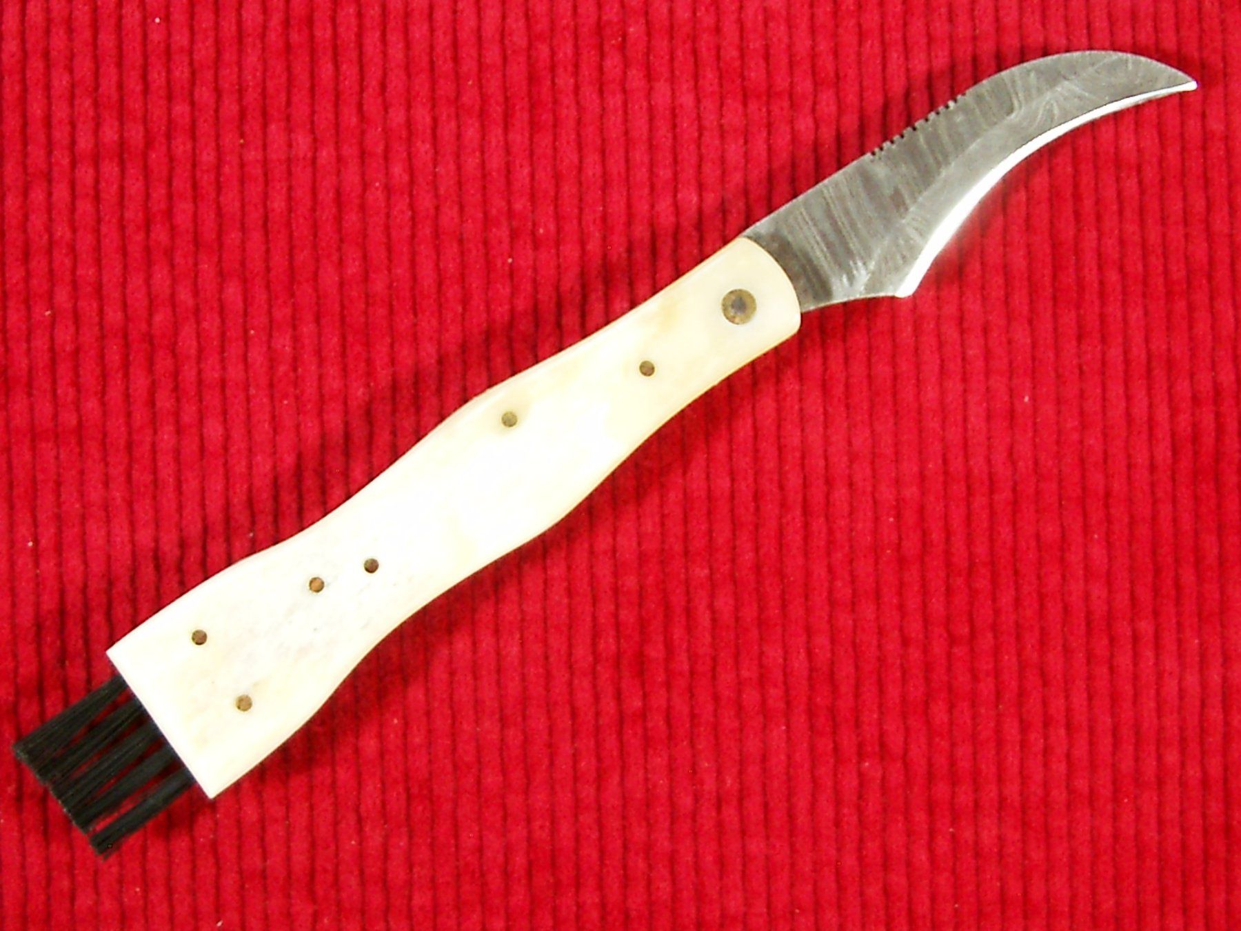 Coltelli tascabile: Pilzmesser Damaststahl-Klinge, Knochen-Griffschalen – Nuovo e nell'imballaggio originale da Laupen ZH venduto da tonisculati 3