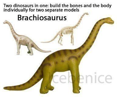 Giocattoli: Dinosaurier Large Skin 'n Bones Dinosaur Dino Brachio Saurus – Nuovo e nell'imballaggio originale da Kloten venduto da Euroasia 2