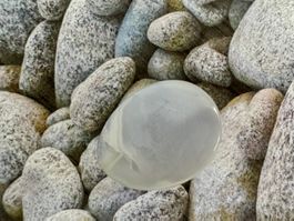 Chalcedon