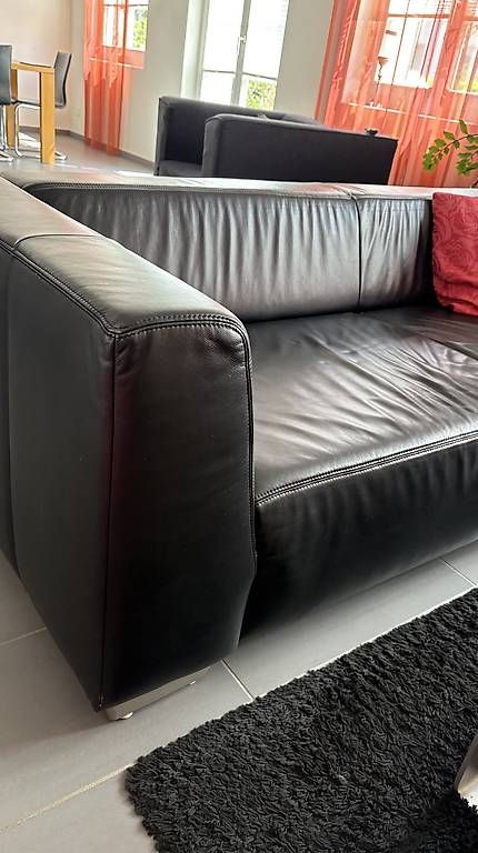 Divani: Ledersofa Doppelteilig – Usato da Winterthur venduto da Lucoelen 2