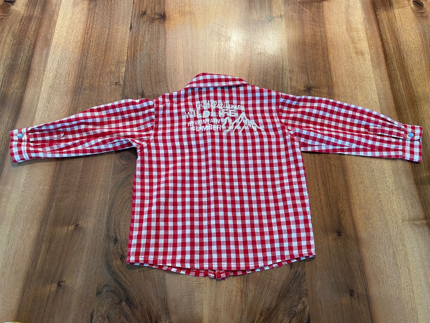 Camicie, T-shirt & Polo: Rot-weiss kariertes Hemd, Bondi, Grösse 86 – Usato da Haslen AI venduto da s176 3