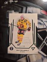 Waltteri Merela SC Bern Playoffs 2025 Sportzoo 23/60