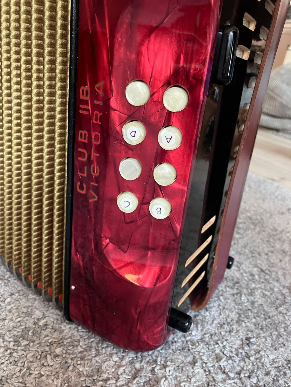 Hohner Strumenti musicali: Diatonisches Akkordeon mit Knöpfen – Usato da Meilen venduto da Melcolm 3