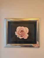 Wunderschönes Gemälde einer zarten rosa Rose