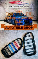 BMW Nieren F10 F11 F18 M Doppelspeichen mit M Color für 5 er