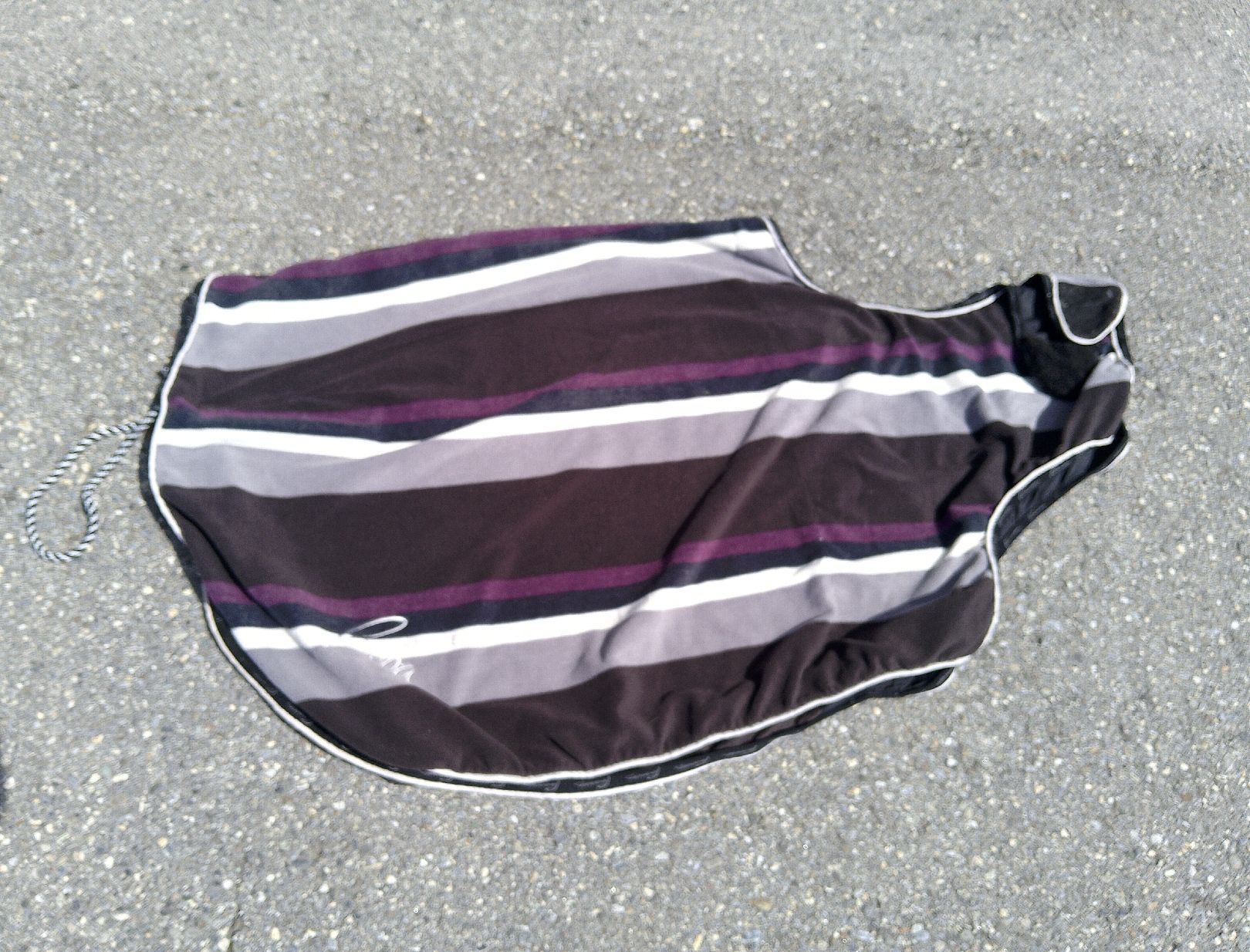 Coperte: Ausreitdecke / Nierendecke 145cm – Usato da Bad Ragaz venduto da ele_62tq