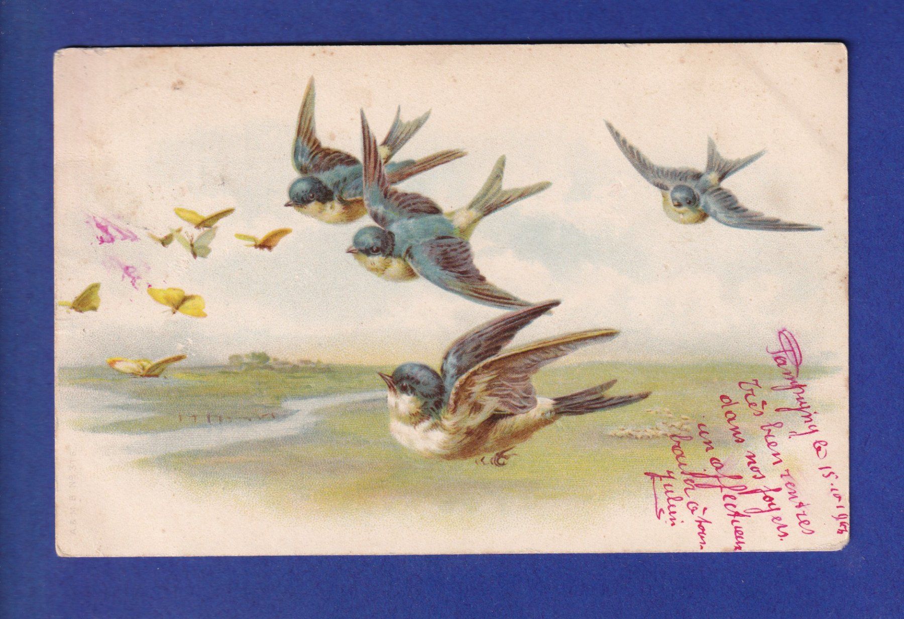 Ansichtskarten: OISEAU - Hirondelles – Gebraucht aus Pully von nicecards-shop