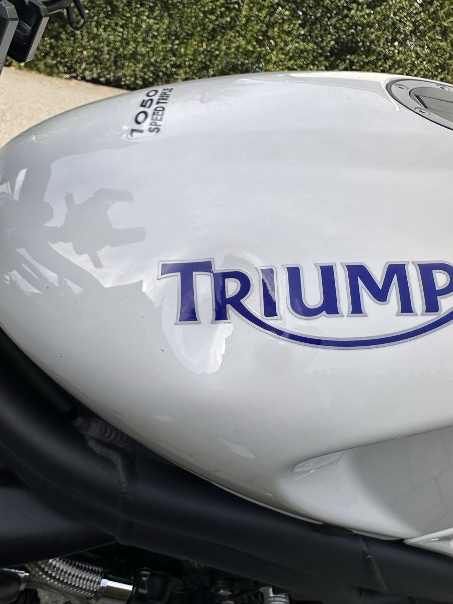 Triumph Strasse: Triumph Speed Triple – Defekt aus Feuerthalen von vitre44 4