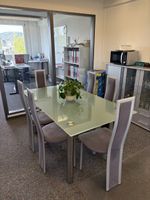 Esstisch Glas Metall 160x90 cm gebraucht guter Zustand