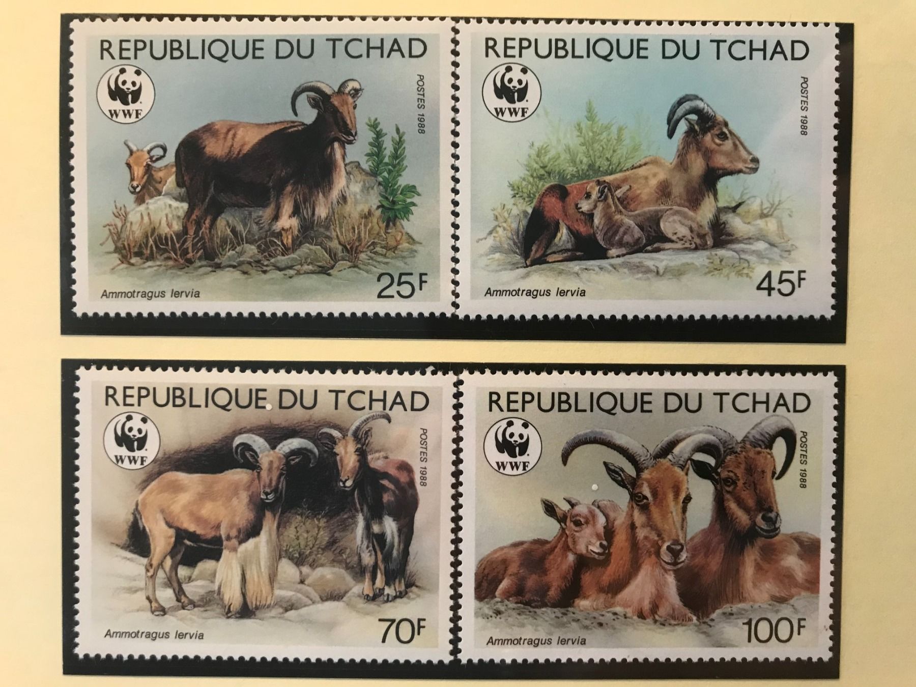 Tutti i francobolli: WWF Tschad 1988 Mähnenspringer Satz postfrisch – Nuovo (secondo la descrizione) da Liestal venduto da schnueps
