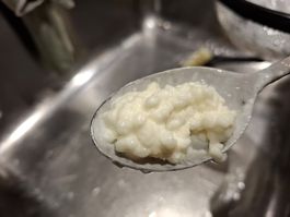 💥 Kefir Milchkefir Knollen