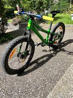 Kinder-Mountainbike Bergamonster 20 Plus (grün)