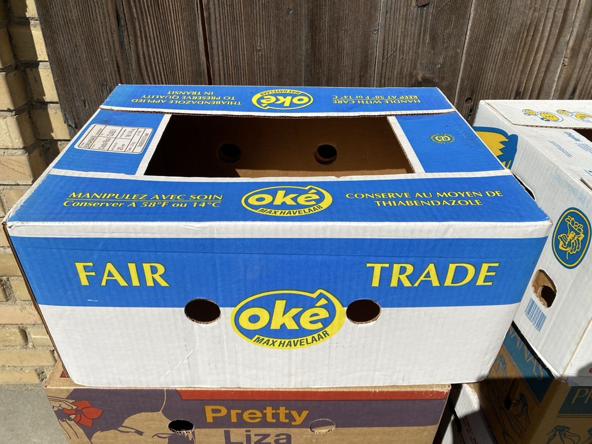 Kartons: 10 Bananschachte,                  – Gebraucht aus Embrach von bea_8424 1