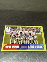 Panini FIFA CPV 13