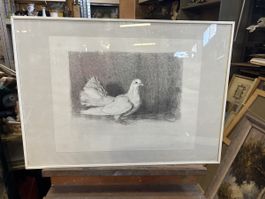 Zeichnung Taube signiert R. Thalmann gerahmt 50x70cm