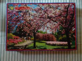 King Puzzle - Regents Park London - 1'000 Teile - M207