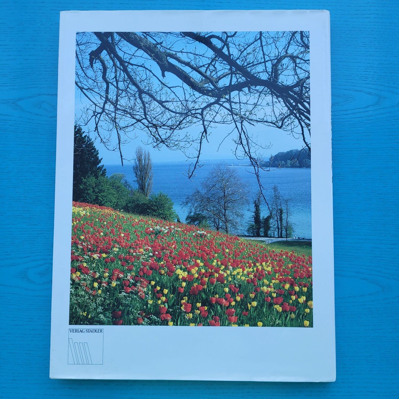 Libri: BODENSEE  - Schweiz - Deutschland – Usato da SCHÜBELBACH venduto da CoKaHa 1