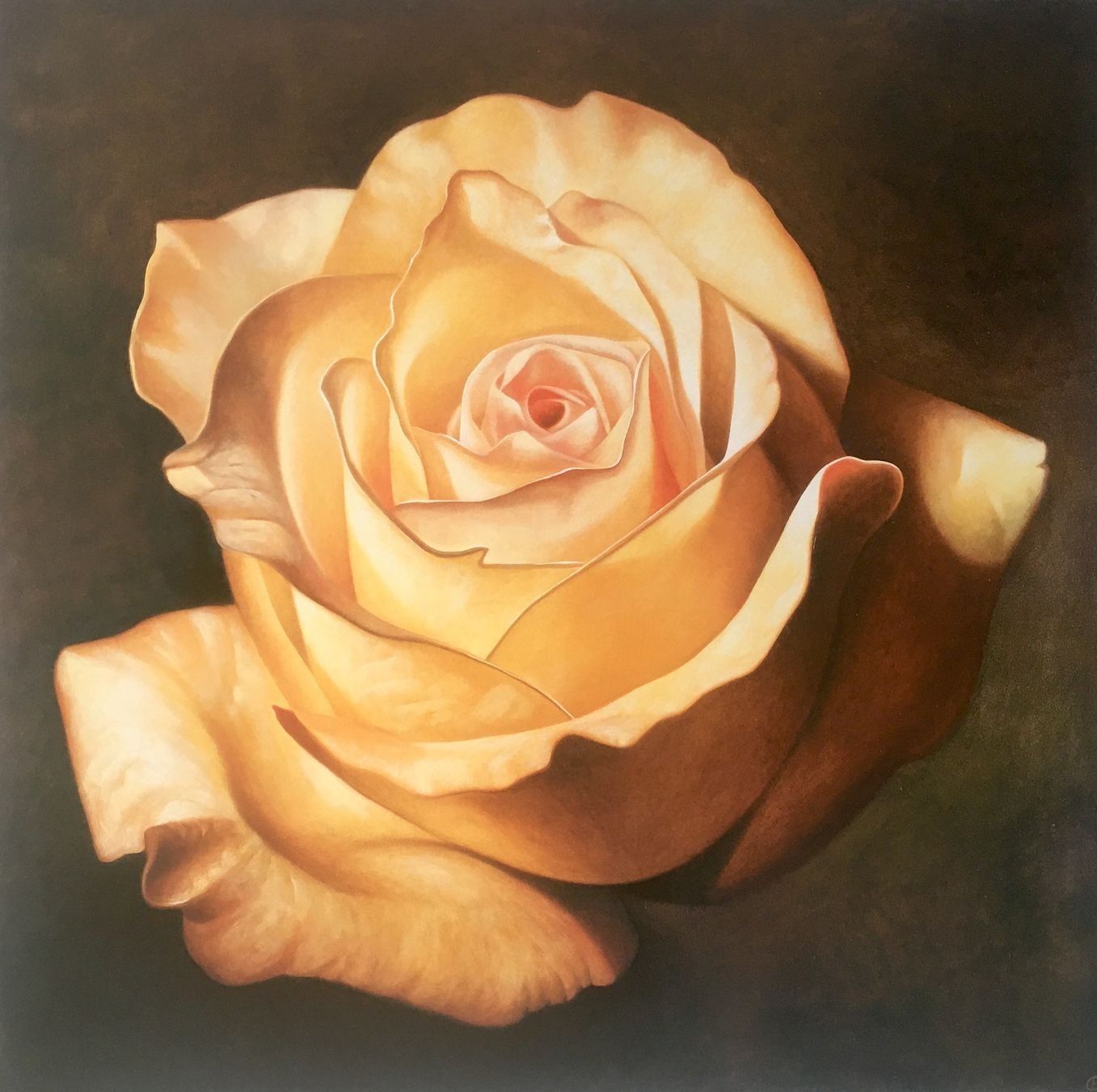 Grafica & Litografie: Franco Campana       4 KUNSTDRUCKE   "Rosen" – Usato da Nennigkofen venduto da Schamane75 1