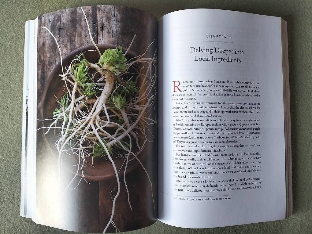 Bücher: Wildcrafted Fermentation (Pascal Baudar) – Gebraucht aus Horgen von BrunoCynthia 2