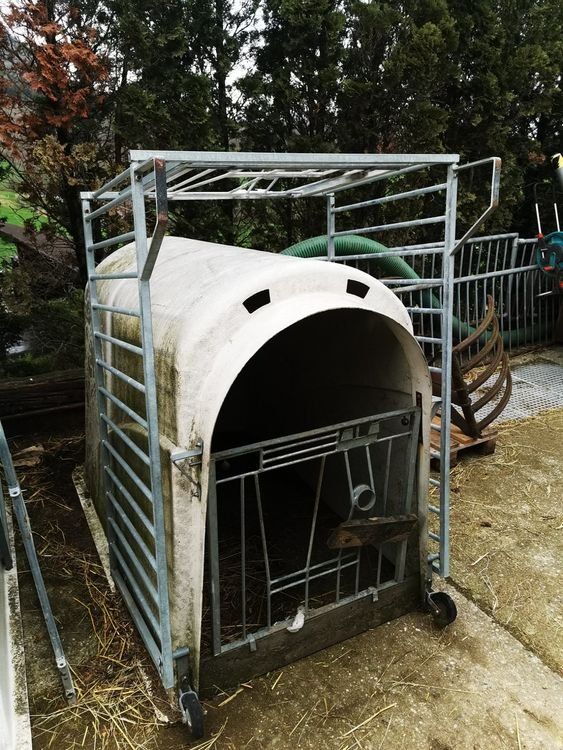 Gabbie, trasporto & Sicurezza: Kälberiglu – Usato da Esslingen venduto da ric_ly2m 1