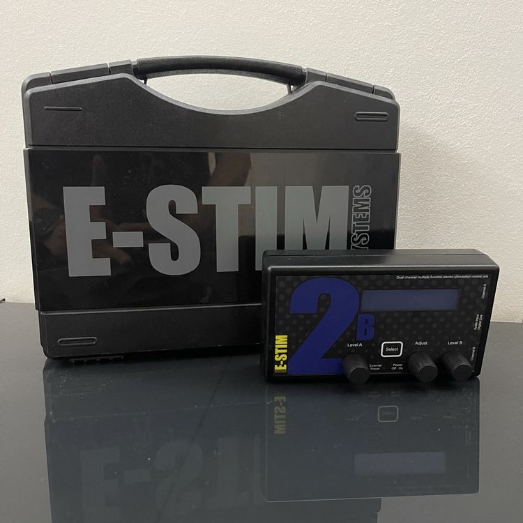 E-Stim Systems 2B | Kaufen auf Ricardo