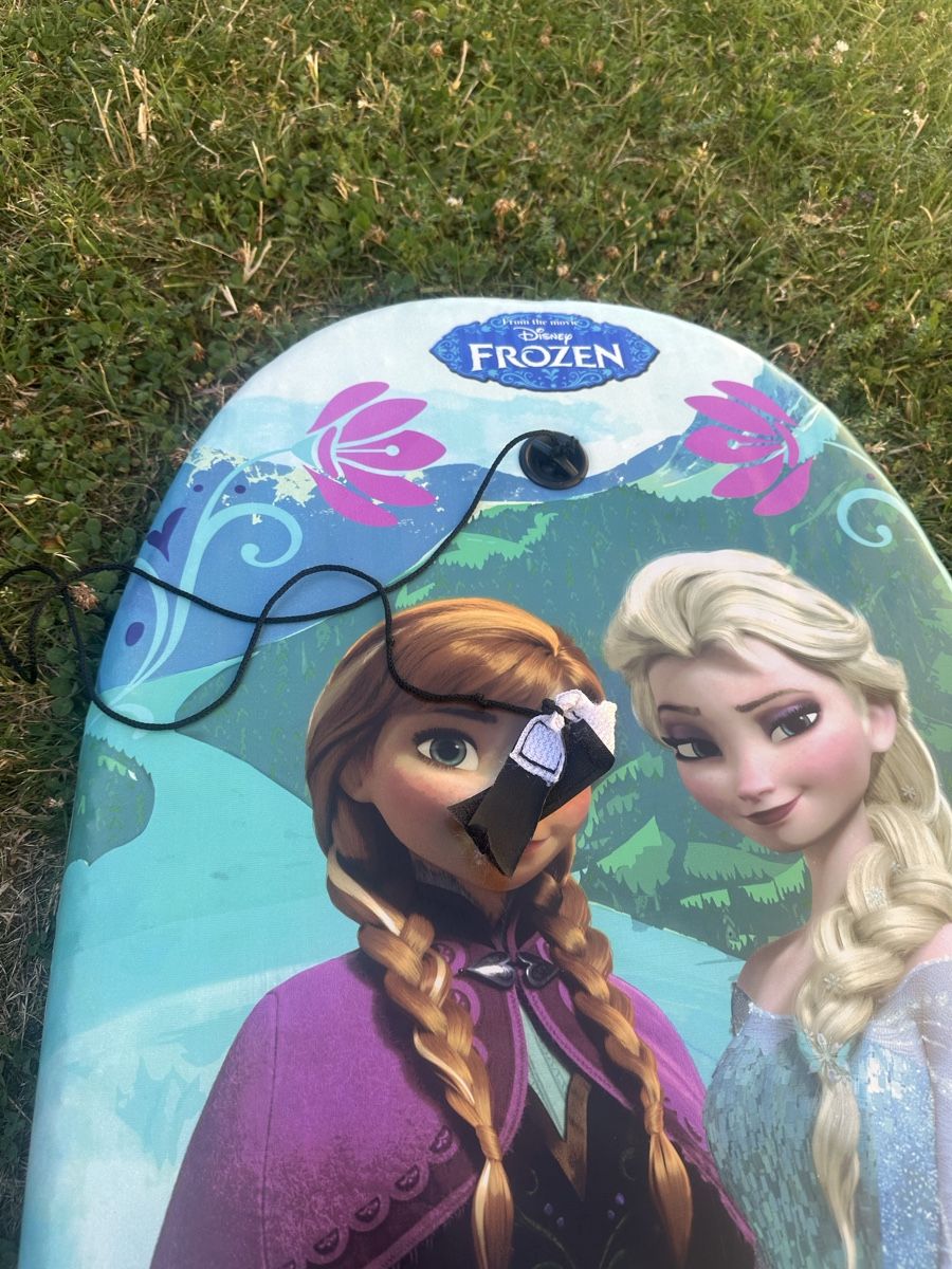 Kickboard: Frozen Kick Board  – D'occasion à Uster par bek_v2ct 2