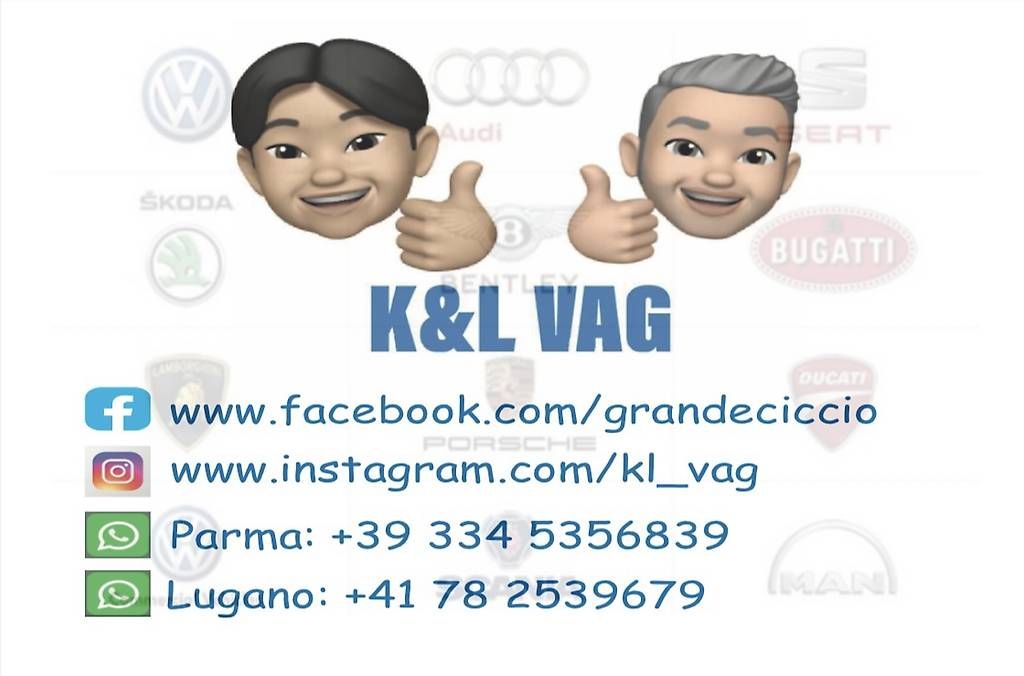Veicoli da campeggio: Vcp, Odis e Vcds Codifiche per: Audi, Seat, Skoda e VW – Usato da Lugano venduto da VagSpecialist79 1