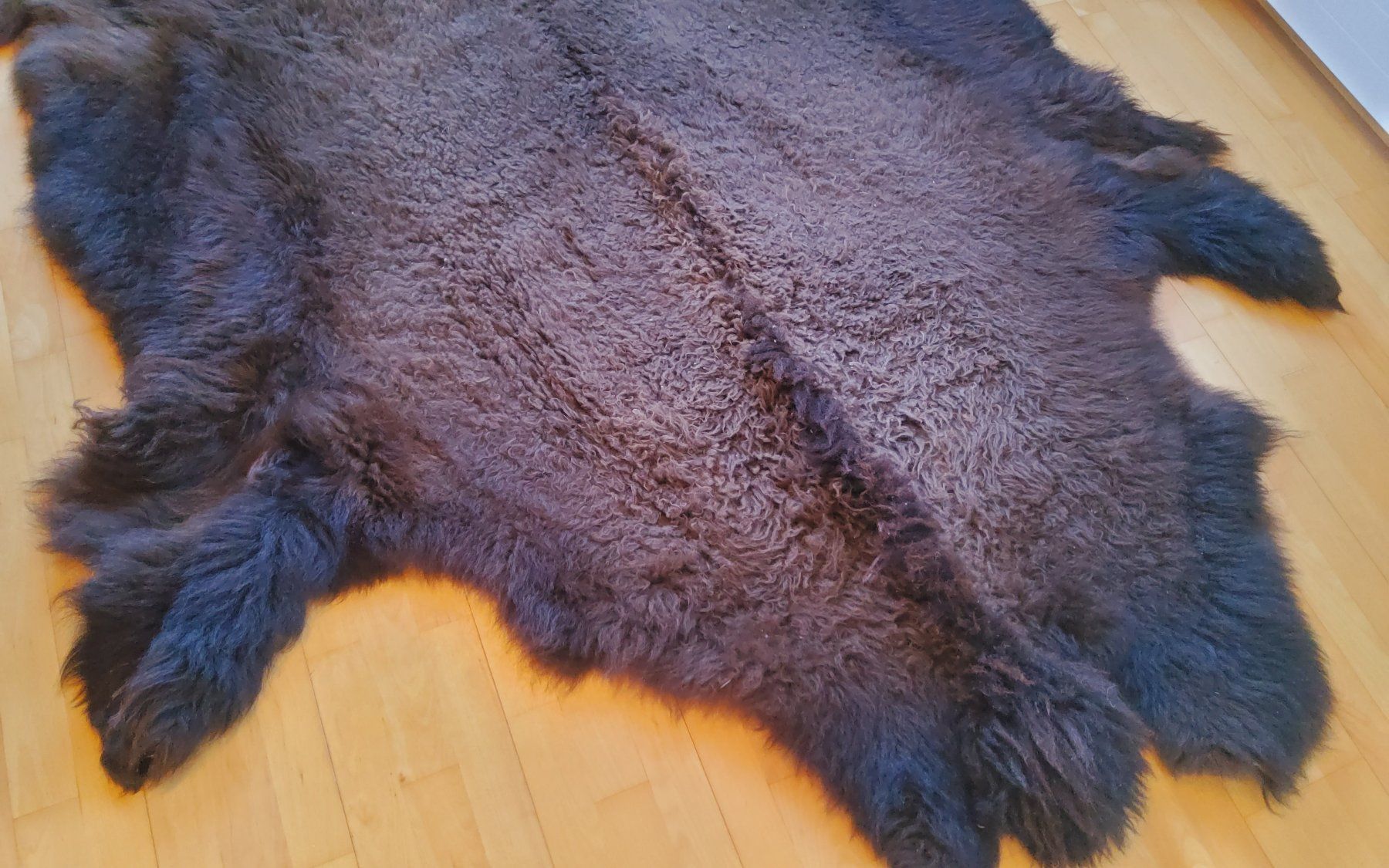 Monde des animaux: BisonFell (Echt) – Neuf (Voir description) à Ruggell par Tim-Werk 6