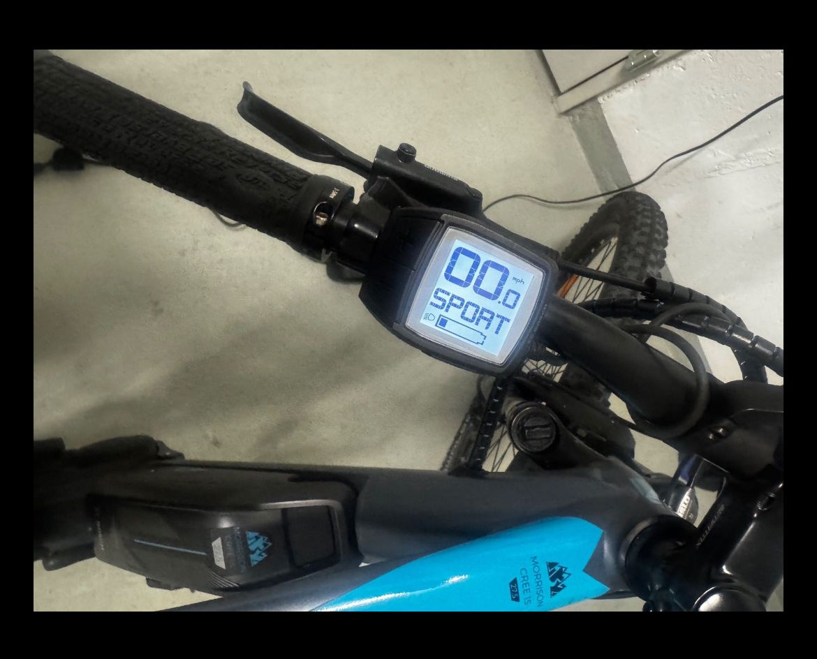 Biciclette: Morrison Cree E-Bike Mountanbike – Usato da Bern venduto da ana_78pz 3