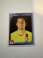 Panini UEFA Champions League 2008-2009 - Nr. 355
