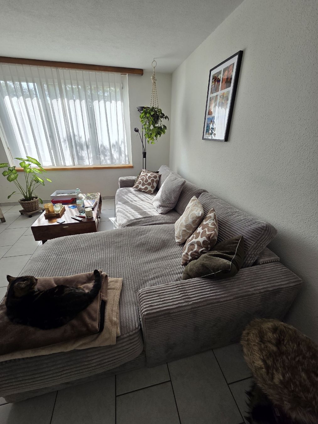 Conforama Sofas: Ecksofa Cordstoff hellgrau mit Recamiere rechts  – D'occasion à Riniken par widmersteffi 8