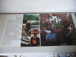 Vinyl„Appezöller Chääs-Platte"-Vinyle"Le fromage d'Appenzell