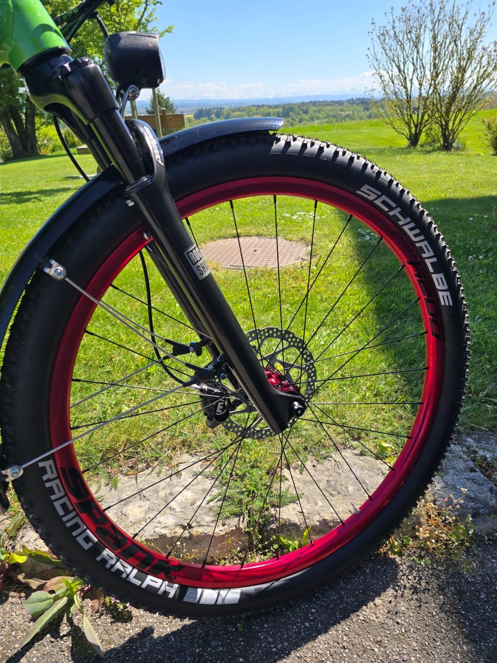 Velos: Custom E-MTB, Bafang M600, 140 N/m neuwertig – Gebraucht aus Flumenthal von Zermatty 4