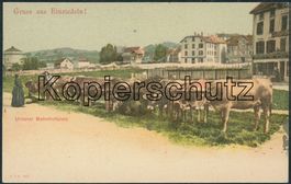 SZ Einsiedeln - Landwirtschaft